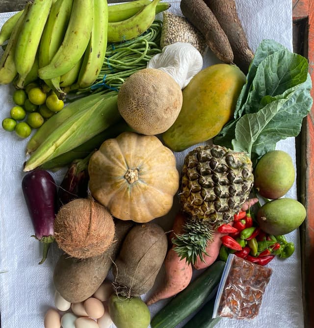 Canasta campesina 