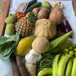 Canasta campesina 