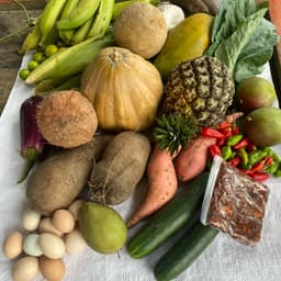 Canasta campesina 