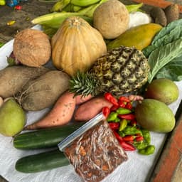 Canasta campesina 